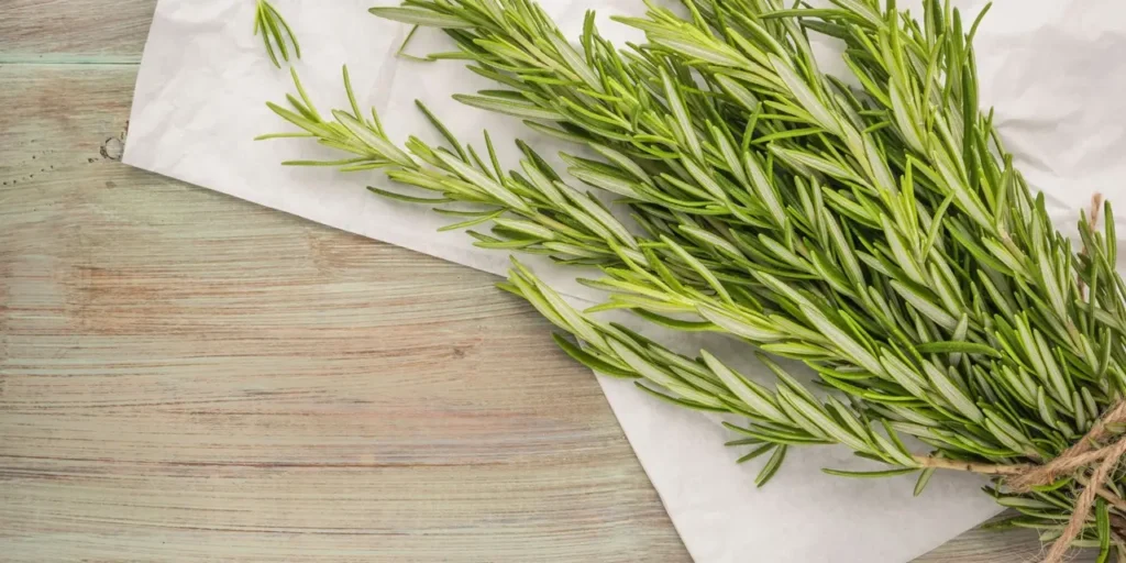 Rosmarino contro altre aromatiche: ecco perché il rosmarino è l'unica erba aromatica indispensabile in giardino Rosmarino contro altre aromatiche: ecco perché il rosmarino è l'unica erba aromatica indispensabile in giardino