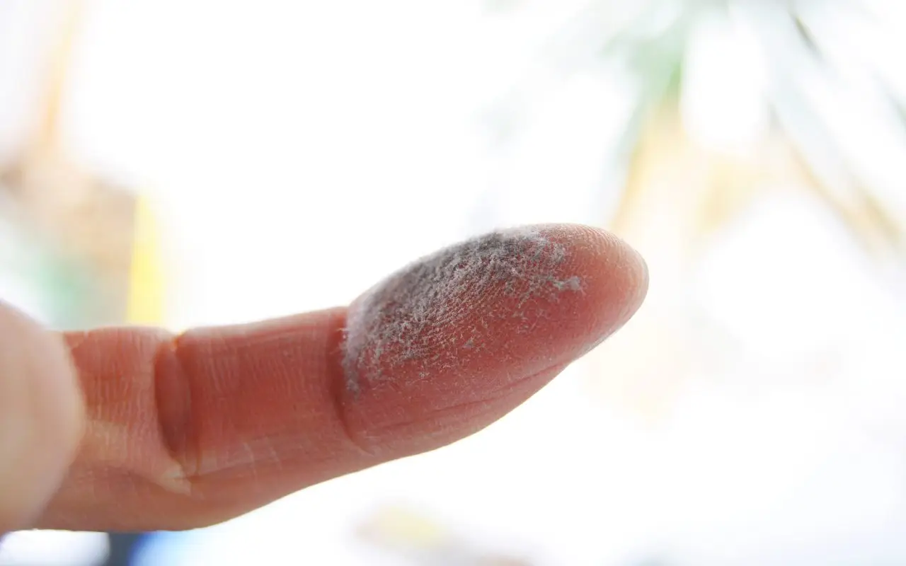 Troppa polvere a casa? La soluzione naturale che lascia tutto splendente Immagine selezionata