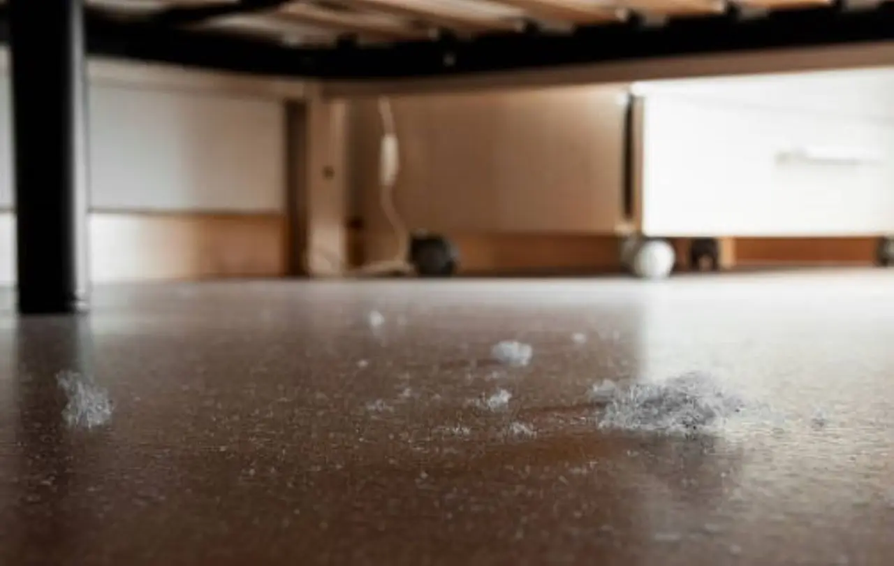 Troppa polvere a casa? La soluzione naturale che lascia tutto splendente Immagine selezionata