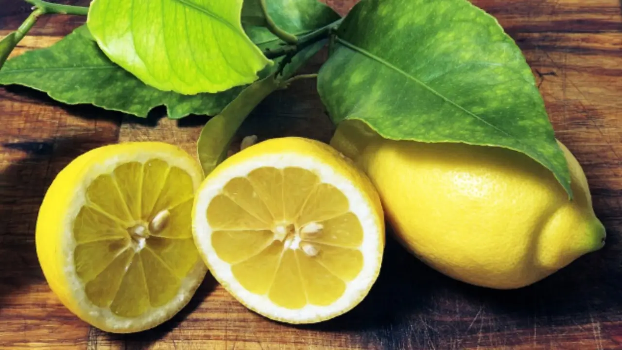 Limone e alloro: ecco il segreto della nonna per una casa profumata e accogliente in primavera Immagine selezionata
